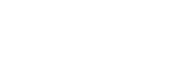 DPD Logo